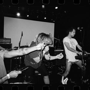 Horse the Band